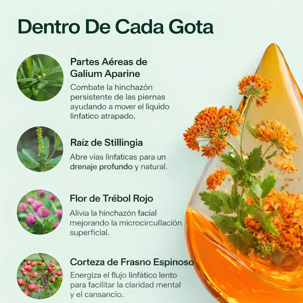Gotas Drenaje Linfático – Fórmula Herbal Natural | Desinflama y Reduce la Hinchazón